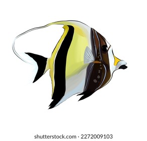 Tropical Fish  Horned Zankle  Exotic Fish  Zankl Moorish Idol from multicolored paints  Splash watercolor  colored drawing  realistic  Vector illustration paints