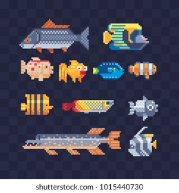 Tropical fish icon set. Flat illustration sea color tropical fish. Design various aquarium fish or tropical sea fish. Isolated pixel art 80s style illustration.