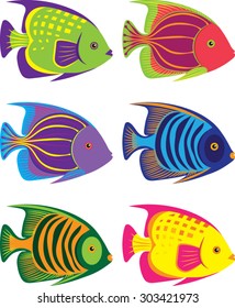 Tropical Fish - Illustration - Vector Art 