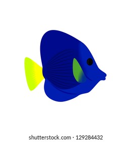 Tropical fish isolated on a white background, vector illustration