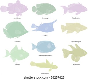 Tropical fish line drawings