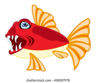 Tropical fish on white