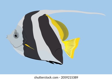Tropical fish, salt water fish illustration vector on white background