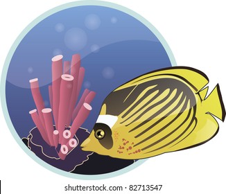 Tropical fish with seascape background