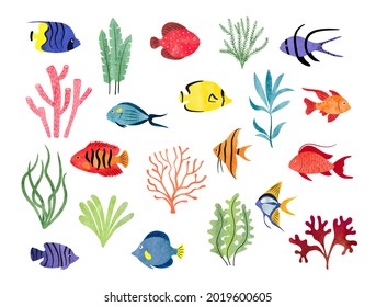 Tropical fish and seaweeds isolated on white. Big vector aquarium set of watercolor different fish and decorations.