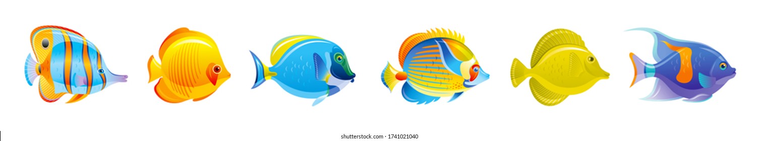 Tropical Fish set. Vector aquarium or sea icons. Coral Reef underwater animals. Isolated ocean life collection. Marine illustration in cartoon style. Exotic blue angelfish, butterfly, surgeon fishes 