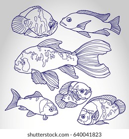 Tropical fish set. Vector illustration isolated on abstract background