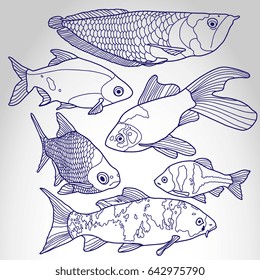 Tropical fish set. Vector illustration isolated on abstract background