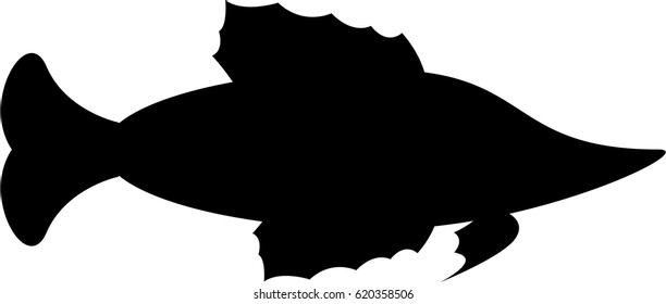 Tropical Fish in Silhouette