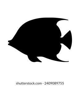 Tropical Fish Silhouette Illustration On Isolated Background