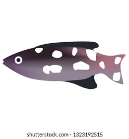 tropical fish with spots gradient color bright illustration. Underwater tropical exotic fish series