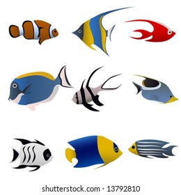 tropical fish vector