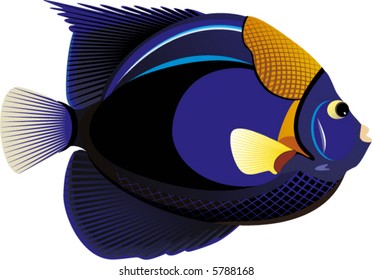 Saltwater Fish Stock Vectors, Images & Vector Art | Shutterstock