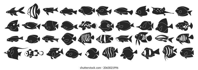 Tropical fish vector black icon set . Collection vector illustration aquarium fish on white background. Isolated black illustration icon set of tropical animal for web design.