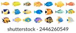 Tropical fish vector cartoon icon
