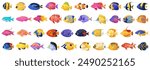 Tropical fish vector cartoon icon