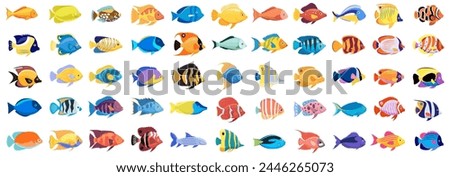 Tropical fish vector cartoon icon