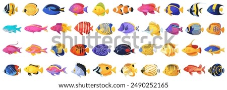 Tropical fish vector cartoon icon