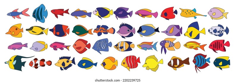 Tropical fish vector collection icon.Color illustration vector set icon isolated on white background tropical fish.