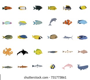 Tropical fish vector collection on white background.