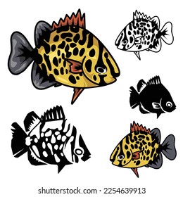 tropical fish vector collection set isolated on white background. fish, coral fish, scat, spotted scat, aquarium, seafood, simple, vector illustration.