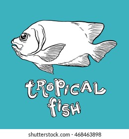 Tropical Fish - Vector hand drawing illustration with lettering on background for design