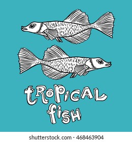 Tropical Fish - Vector hand drawing illustration with lettering on background for design