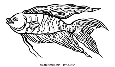 Tropical Fish - Vector hand drawing illustration with lettering on background for design
