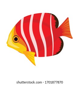 Tropical fish vector icon.Cartoon vector icon isolated on white background tropical fish.