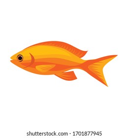 金魚 アイコン Hd Stock Images Shutterstock