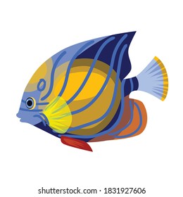 Tropical fish vector icon.Cartoon vector icon isolated on white background tropical fish.