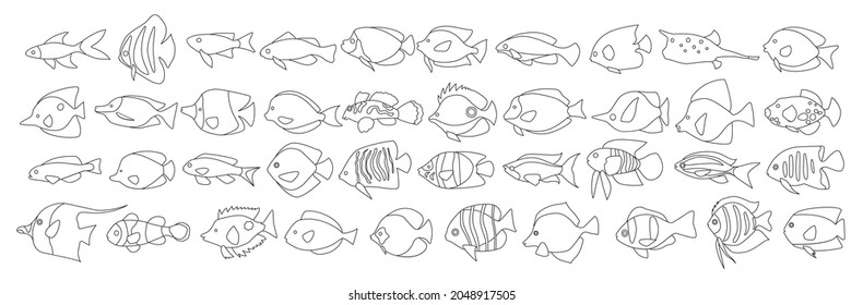 Tropical fish vector icon.outline vector icon isolated on white background tropical fish.