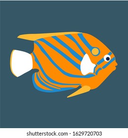 tropical fish, vector illustration isolated on a dark background vector