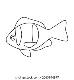 Tropical fish vector outline icon. Vector illustration exotic aunafish on white background. Isolated outline illustration icon of tropical fish .