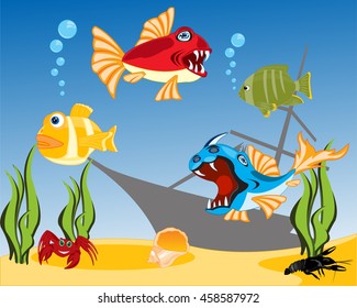 Tropical fish in water