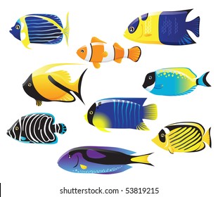 tropical fishes collection
