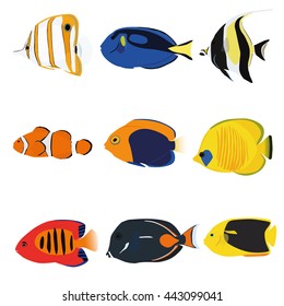 Tropical fishes set containing nine fishes: Copperband Angelfish, Blue Tang, Moonrish Idol, Clownfish, Flameback Angelfish, Masked Angelfish, Flame Angelfish, Achilles Tang, Rock Beauty Angelfish.