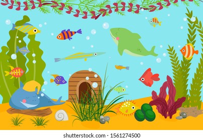 Tropical fishes underwater world wildlife sea, ocean, marine, aquarium vector illustration flat style. Colorful funny cartoon decorative fishes and algae aquatic life wallpaper.