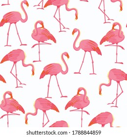Tropical Flamingo Bird Vector Seamless Pattern