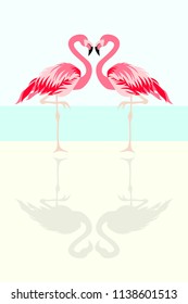 Tropical flamingo birds vector illustration background, poster, postcard 
