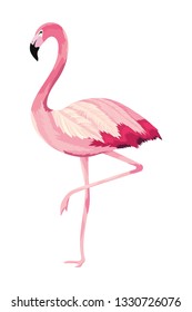 tropical flamingo cartoon