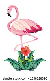 tropical flamingo cartoon