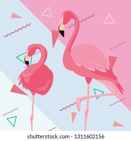 tropical flamingo design