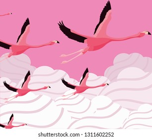 tropical flamingo design