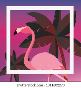 tropical flamingo design
