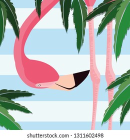 tropical flamingo design