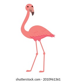Tropical flamingo icon cartoon vector. Pink cute bird. Summer flamingo