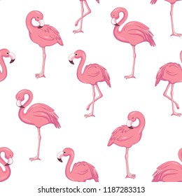 Tropical flamingo pattern