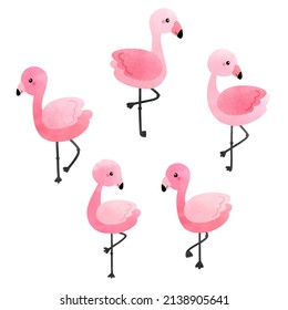 Tropical flamingo, pink flamingo vector illustration