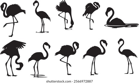 Tropical Flamingo Silhouettes: Poses and Postures